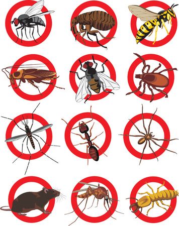 Desinsectación: Proceso de eliminación de insectos dañinos