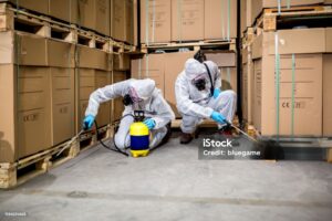 Métodos de prevención que bloquean el acceso de plagas a los espacios protegidos, como mallas y sellado de grietas