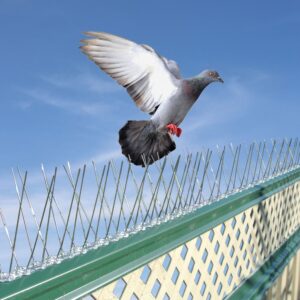 Control de palomas