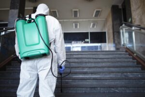 Desinfección de plagas en Murcia