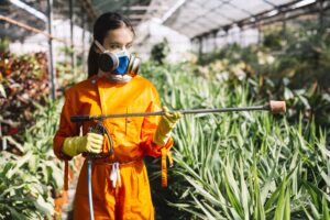 Medidas de control aplicadas en plantas y cultivos
