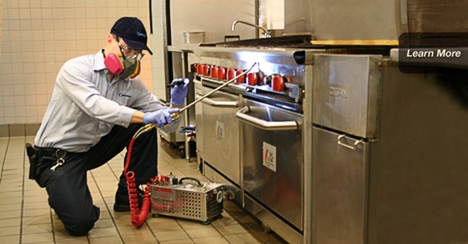 Control de plagas en hostelería y restaurantes en Murcia y Cartagena