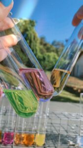 Biocida: Sustancia química utilizada para eliminar organismos perjudiciales