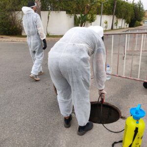 La importancia del control de plagas en comunidades de vecinos