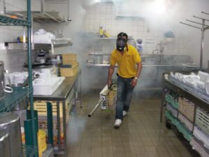 Control de plagas en restaurantes y negocios de hostelería en Murcia